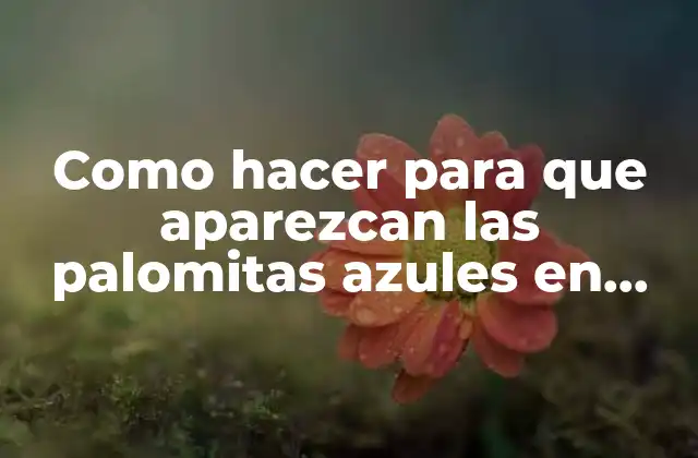 Como Hacer para que Aparezcan las Palomitas Azules en Whatsapp