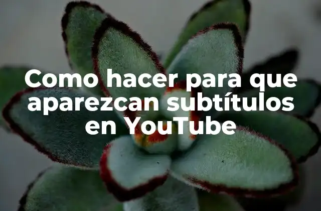 Como Hacer para que Aparezcan Subtítulos en Youtube 2 ¿Qué son los subtítulos en YouTube?