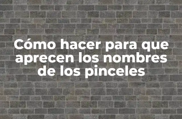 Cómo Hacer para que Aprecen los Nombres de los Pinceles