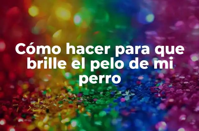 Cómo Hacer para que Brille el Pelo de Mi Perro