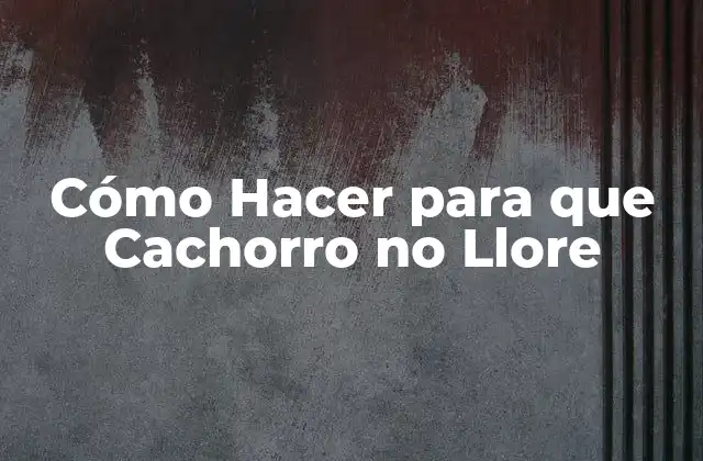 Cómo Hacer para que Cachorro No Llore