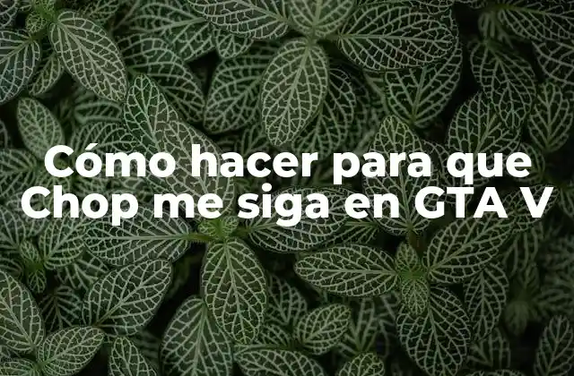 Cómo Hacer para que Chop Me Siga en Gta V