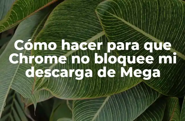 Cómo Hacer para que Chrome No Bloquee Mi Descarga de Mega