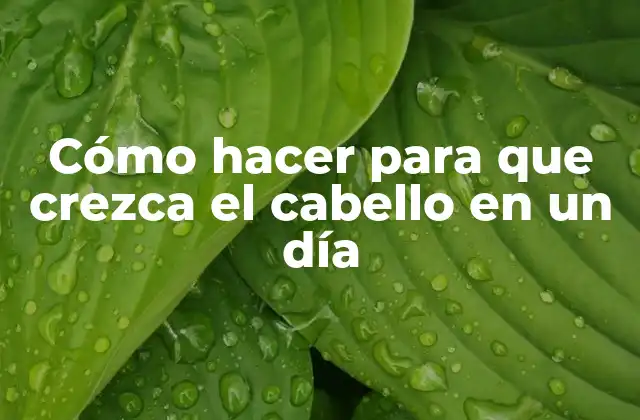 Cómo Hacer para que Crezca el Cabello en un Día 2 Cómo hacer para que crezca el cabello en un día