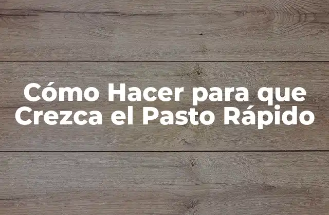 Cómo Hacer para que Crezca el Pasto Rápido