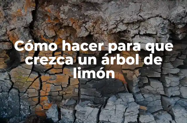 Cómo Hacer para que Crezca un Árbol de Limón
