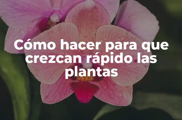 Cómo Hacer para que Crezcan Rápido las Plantas