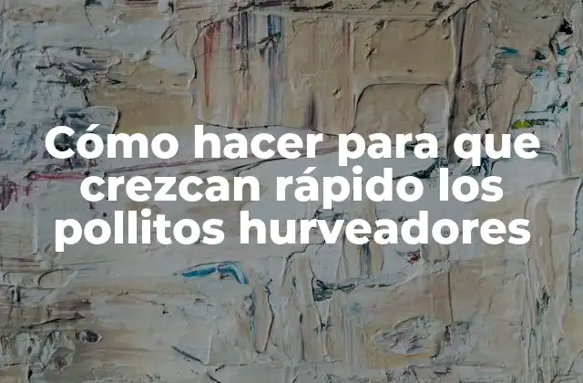 Cómo Hacer para que Crezcan Rápido los Pollitos Hurveadores