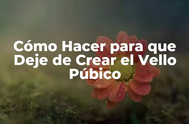 Cómo Hacer para que Deje de Crear el Vello Púbico