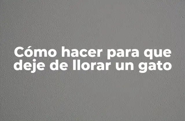 Cómo Hacer para que Deje de Llorar un Gato