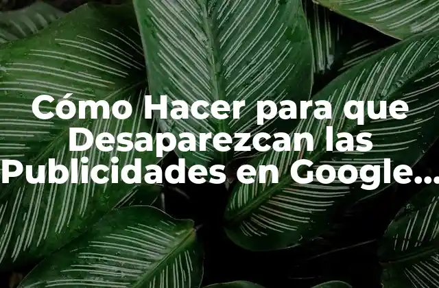 Cómo Hacer para que Desaparezcan las Publicidades en Google Chrome