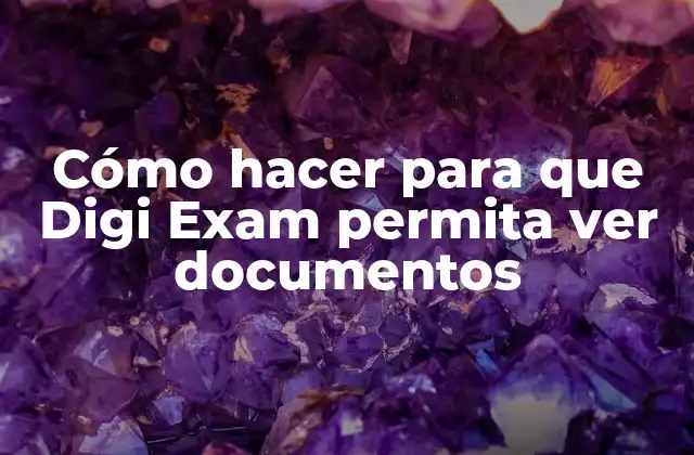 Digi Exam y la visualización de documentos