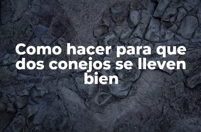 Como Hacer para que Dos Conejos Se Lleven Bien