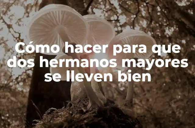 Cómo Hacer para que Dos Hermanos Mayores Se Lleven Bien