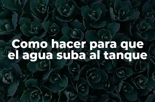Como Hacer para que el Agua Suba Al Tanque