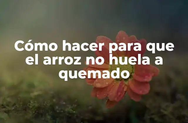 Cómo Hacer para que el Arroz No Huela a Quemado