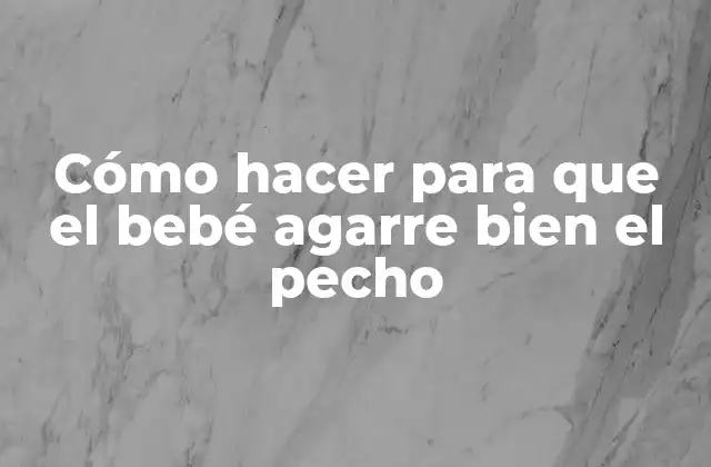 Cómo Hacer para que el Bebé Agarre Bien el Pecho