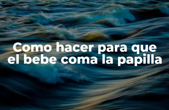 ¿Qué es la papilla y para qué sirve?