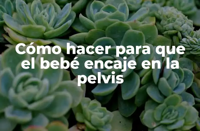 Cómo Hacer para que el Bebé Encaje en la Pelvis