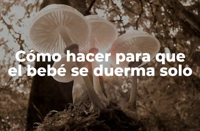 Cómo Hacer para que el Bebé Se Duerma Solo