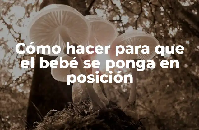 Cómo Hacer para que el Bebé Se Ponga en Posición