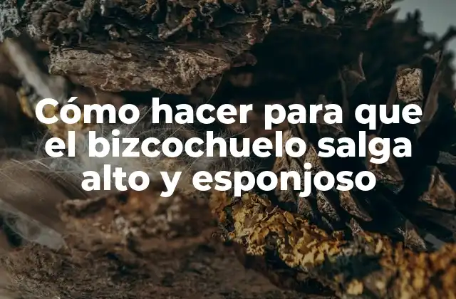 Cómo Hacer para que el Bizcochuelo Salga Alto y Esponjoso