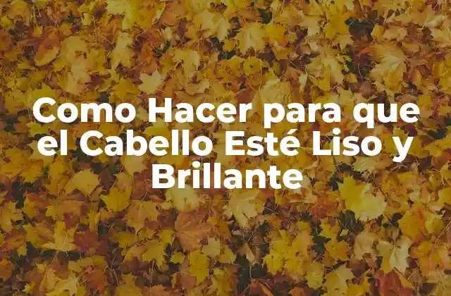 Como Hacer para que el Cabello Esté Liso y Brillante