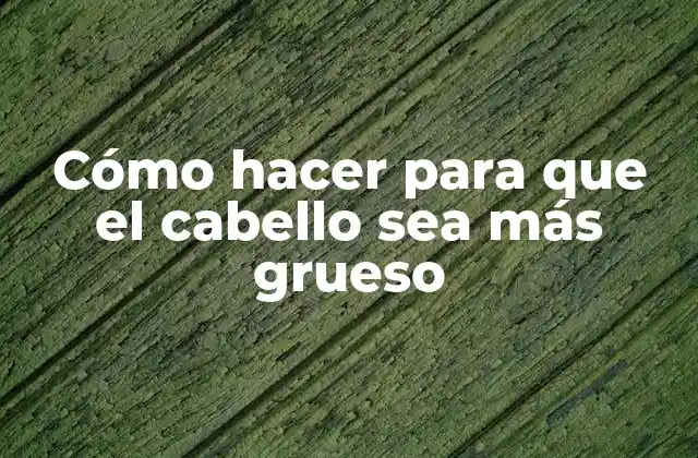 Cómo Hacer para que el Cabello Sea Más Grueso