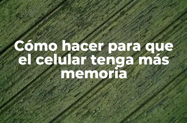 ¿Qué es la memoria del celular y para qué sirve?