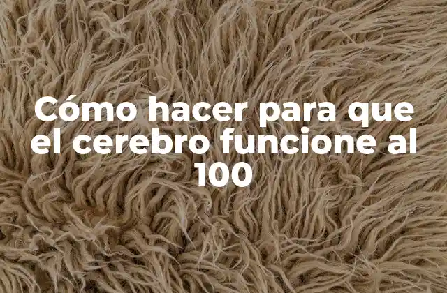 Cómo Hacer para que el Cerebro Funcione Al 100