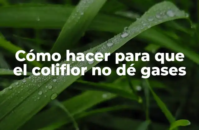 ¿Qué es el coliflor y por qué puede causar gases?