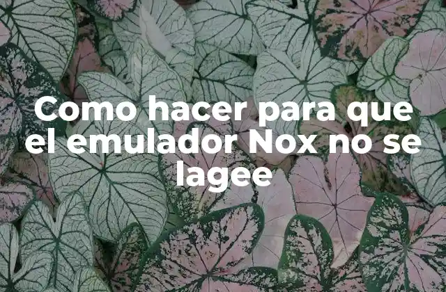 Como Hacer para que el Emulador Nox No Se Lagee