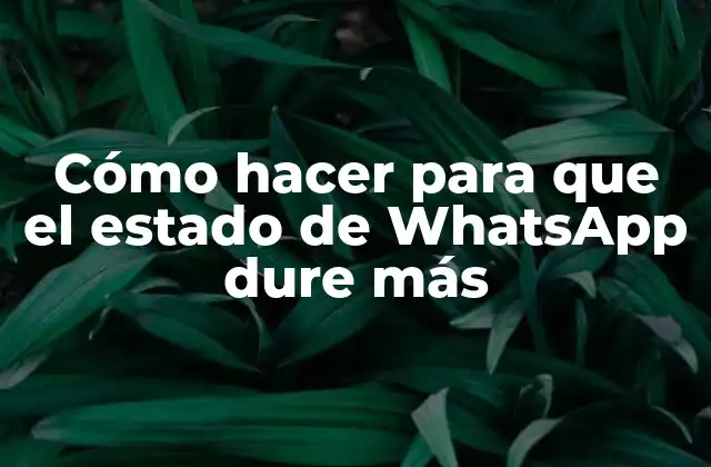 Cómo Hacer para que el Estado de Whatsapp Dure Más