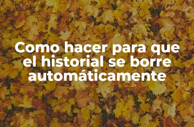 Como Hacer para que el Historial Se Borre Automáticamente