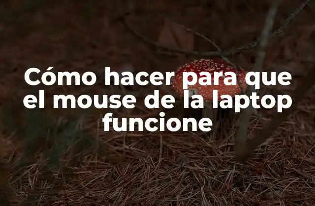 Cómo Hacer para que el Mouse de la Laptop Funcione