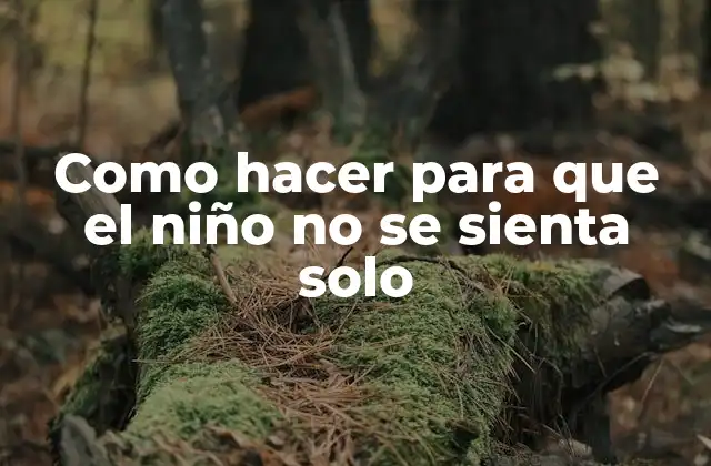 Como Hacer para que el Niño No Se Sienta Solo