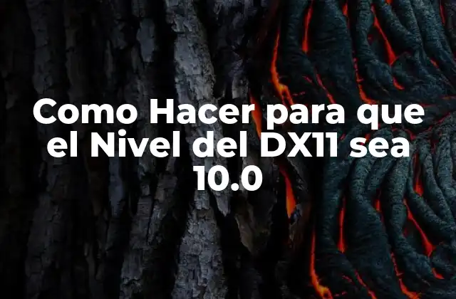 Como Hacer para que el Nivel Del Dx11 Sea 10.0