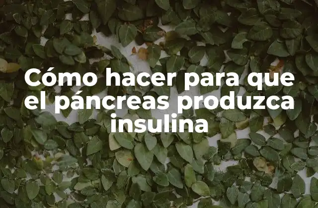 Cómo Hacer para que el Páncreas Produzca Insulina