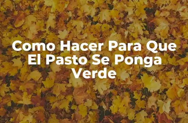 Como Hacer para que el Pasto Se Ponga Verde 2 ¿Qué es un Pasto Verde y Saludable?