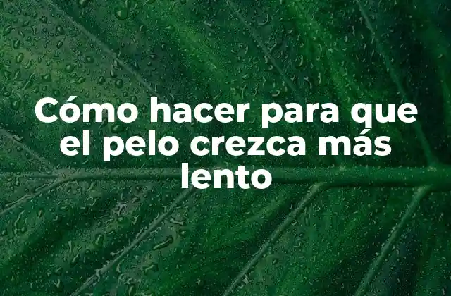 Cómo Hacer para que el Pelo Crezca Más Lento