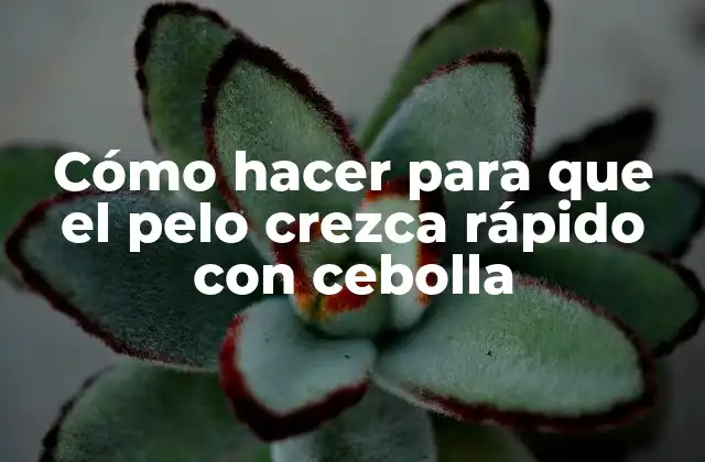 Cómo Hacer para que el Pelo Crezca Rápido con Cebolla