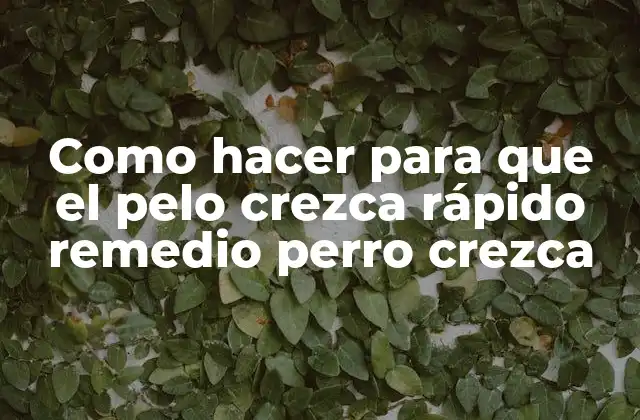 Como Hacer para que el Pelo Crezca Rápido Remedio Perro Crezca