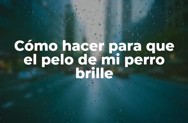 Cómo Hacer para que el Pelo de Mi Perro Brille