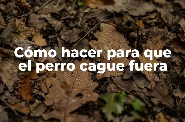 Cómo Hacer para que el Perro Cague Fuera