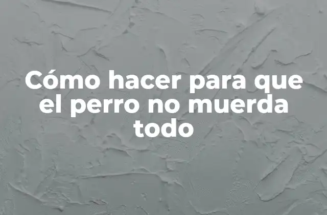 Cómo Hacer para que el Perro No Muerda Todo