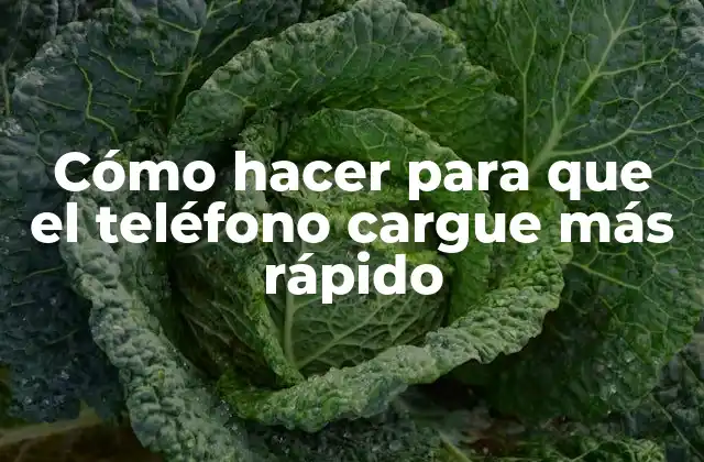 Cómo Hacer para que el Teléfono Cargue Más Rápido 2 Cómo hacer para que el teléfono cargue más rápido
