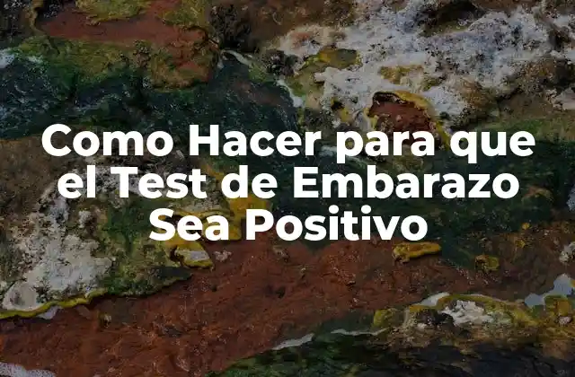 Como Hacer para que el Test de Embarazo Sea Positivo