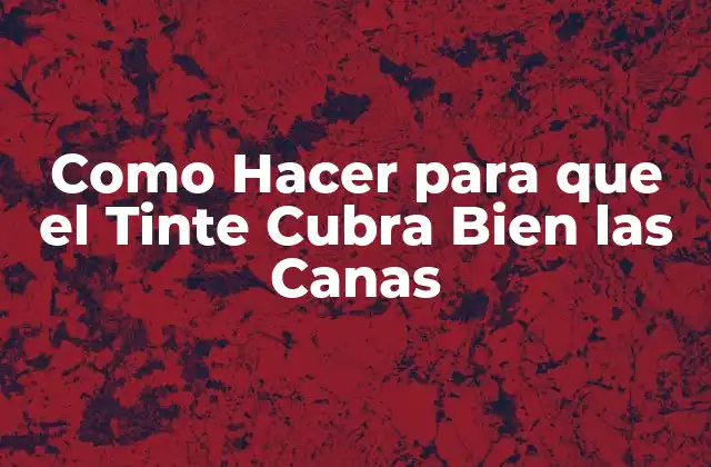 Como Hacer para que el Tinte Cubra Bien las Canas