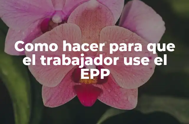 Como Hacer para que el Trabajador Use el Epp