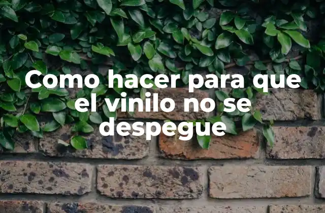 Como Hacer para que el Vinilo No Se Despegue
